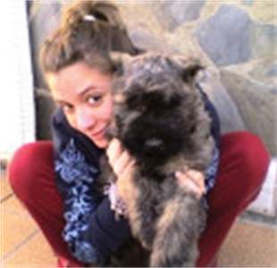 CACHORROS DE BOUVIER DE FLANDES - 4